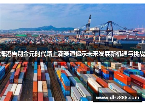 海港告别金元时代踏上新赛道揭示未来发展新机遇与挑战