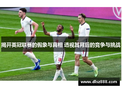 揭开英冠联赛的假象与真相 透视其背后的竞争与挑战